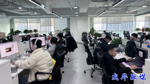 出海升級，攻堅(jiān)克難 成都成華科技企業(yè)開啟2026沖刺模式